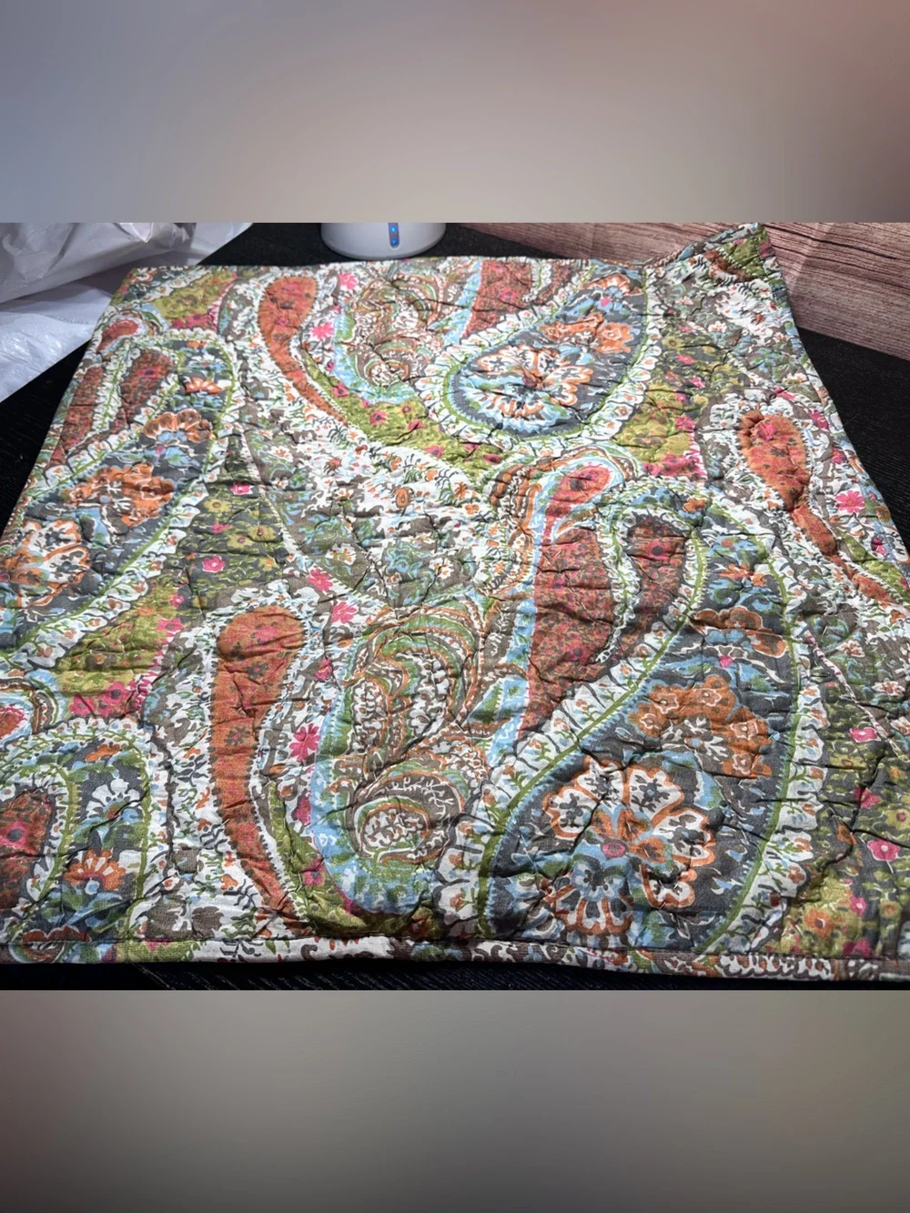 Pottery Barn Zia paisley ikat quilted Euro pillow cover Sham NWOT